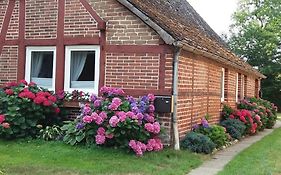 Von Wiegen, Ferienwohnungen