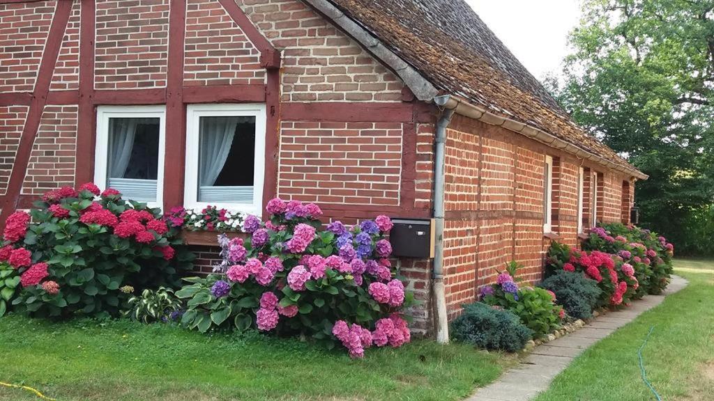 Von Wiegen, Ferienwohnungen Schneverdingen Exterior foto
